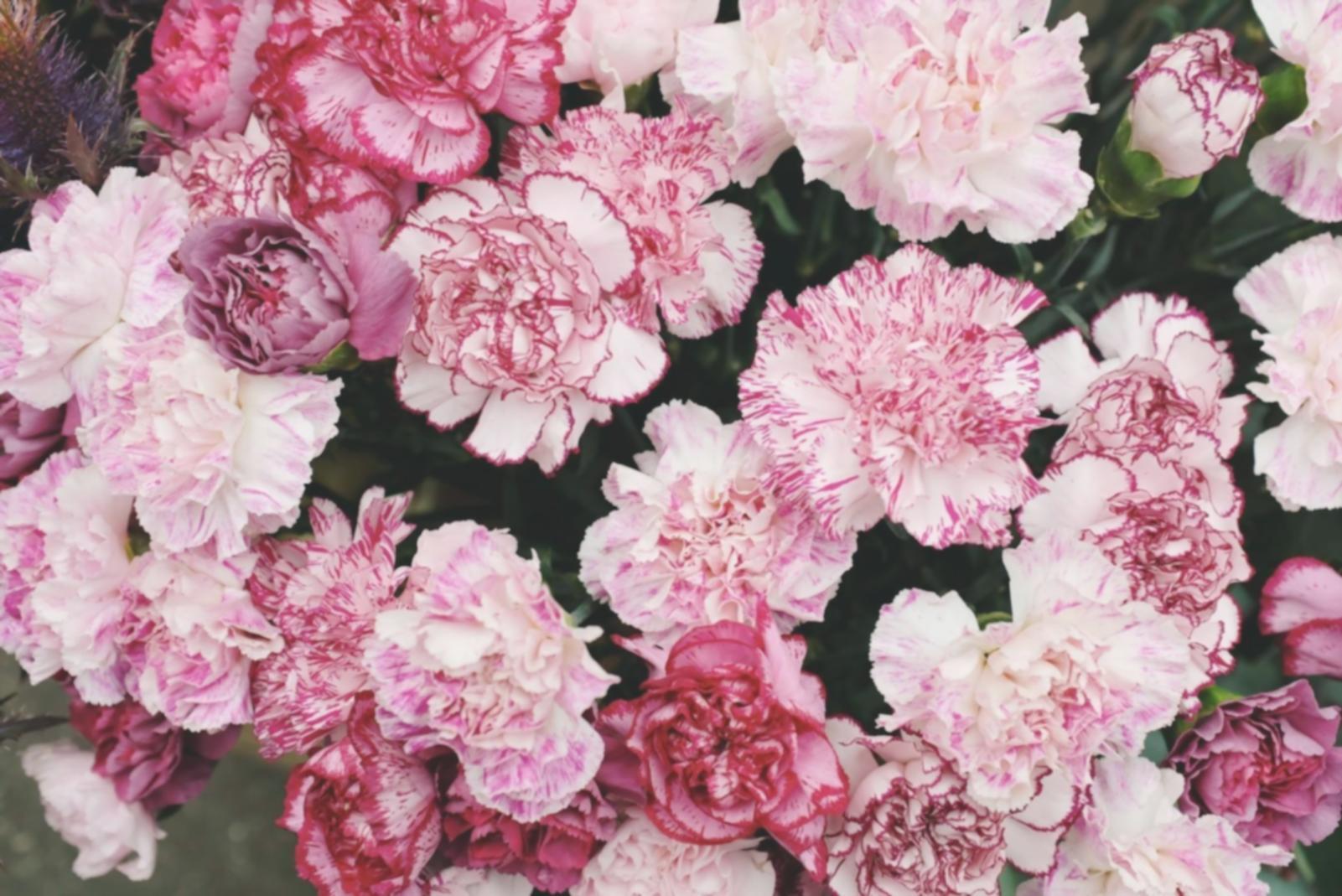 Fresh flower arrangements being prepared in professional workspace